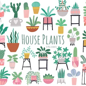 Imágenes prediseñadas de plantas de interior, imágenes prediseñadas de vegetación, imágenes prediseñadas de suculentas, imágenes prediseñadas de cactus, plantas en macetas, botánica, imágenes prediseñadas de jardinería, planta de aloe vera, PNG.