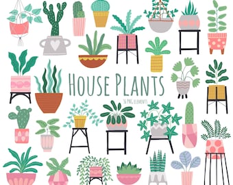 House Plant Clipart: Greenery, Succulents, Cactus (PNG)