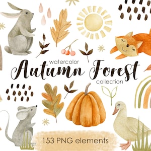 Aquarelle forêt d'automne clipart, clipart champignon, clipart automne, animaux de la forêt, graphiques de la forêt d'automne des bois, oiseau, renard, hibou, lapin.