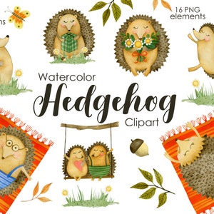 Aquarelle hérissons Clipart, clipart animaux de la forêt, bébés animaux de la forêt, album de photos pour chambre d'enfant, téléchargement numérique instantané PNG, automne.