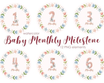 Watercolor Baby Monthly Milestone Clipart (Digital Download)