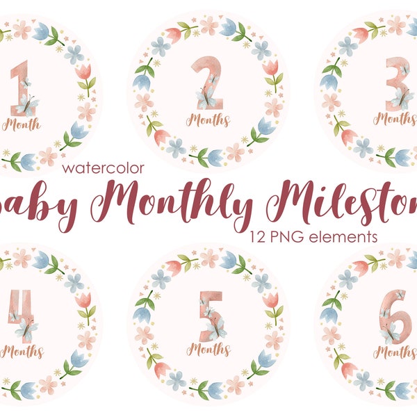 Pink Baby Monthly Milestone, Watercolor Clipart, Baby Shower, Cards, Newborn Birth Announcement, boy monthly, cute file digital download,