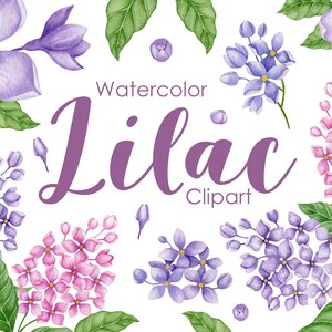 Aquarell lila Clipart, lila Blume png, Frühling, Hochzeit, Fotoalbum, Light Purple Floral, Scrapbooking, Dusche, Grafik, handgemalt