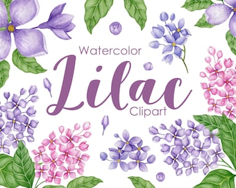 Watercolor Lilac Clipart: Hand Painted Floral PNG (Digital Download)
