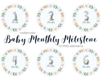 Watercolor Baby Monthly Milestone Clipart (Digital Download)
