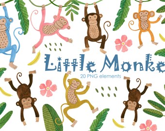 Gouache Monkey Clipart: Jungle Animals, Baby PNG (Digital Download)