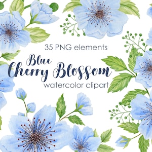 Aquarell Blaue Kirschblüte Clipart, Hochzeit Clip Art, Sakura Blumen Natur, Grafiken Einladung, Blumensträuße, Kranz blau PNG