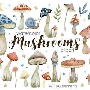 Clipart de cogumelos em aquarela, download de cogumelos da floresta, download instantâneo, cogumelos fofos, cogumelos fantásticos, clipart de outono, floresta de outono.