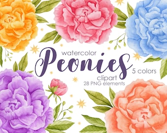 Watercolor Peonies Clipart: Spring Wedding Flowers (Instant Download)