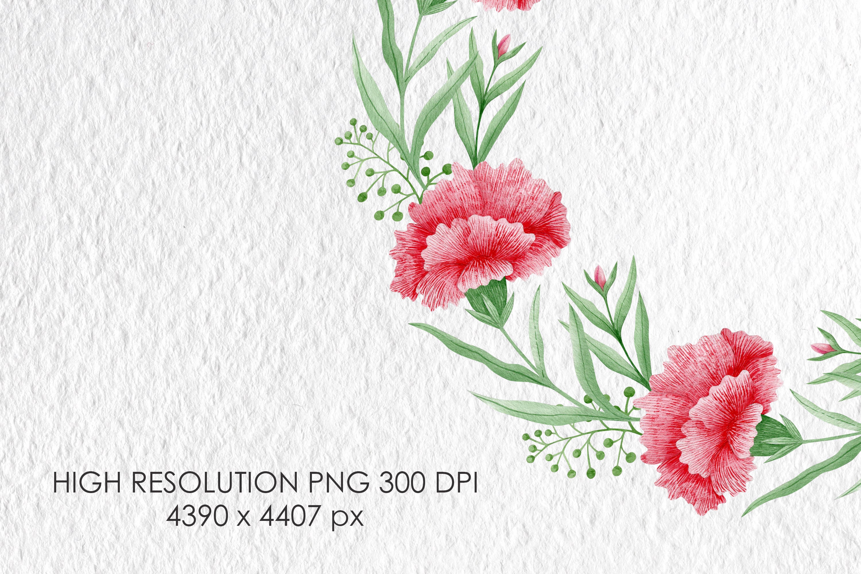 Watercolor Carnation Wreath Hand Painted Botanical Clipart Etsy