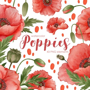 Aquarell Mohnblume Clipart, Mohnblumen Clipart, Mohnblume handgemalt, Aquarellblumen, Hochzeit, Einladung, rote Blumen, digital, png,