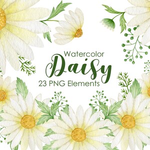 Watercolor Daisy Clipart, Chamomile spring flowers, Hand Painted Daisy wreath, Daisy Bouquets, Daisies Seamless Patterns, Wildflower set.