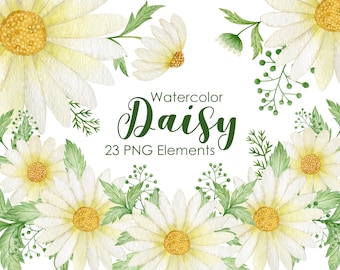 Watercolor Daisy Clipart: Hand-Painted Floral PNG, Seamless Patterns (Digital Download)