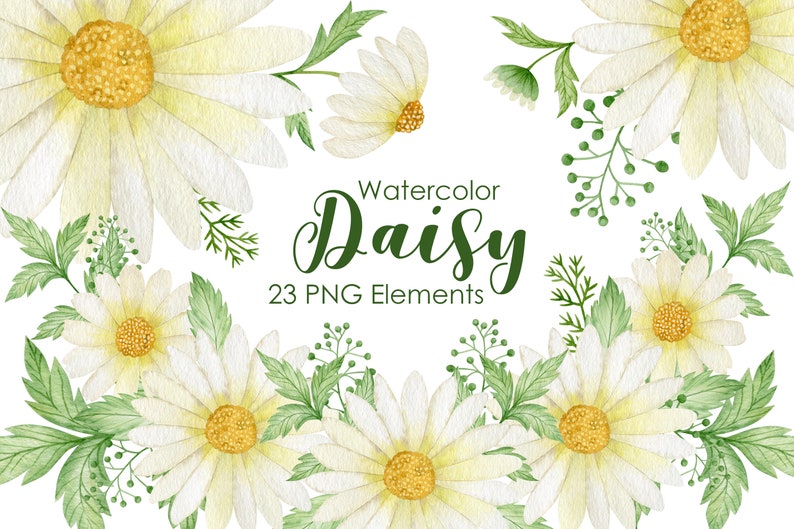 May include: Watercolor illustration of white daisies with yellow centers and green leaves. The text "Watercolor Daisy 23 PNG Elements" is written in green.