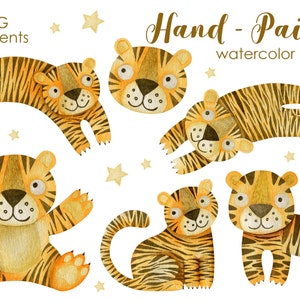 May include: Six watercolour illustrations of tigers in various poses. The tigers are hand-painted in shades of yellow and brown with black stripes. The text "Hand-Painted watercolour" is written above the tigers.