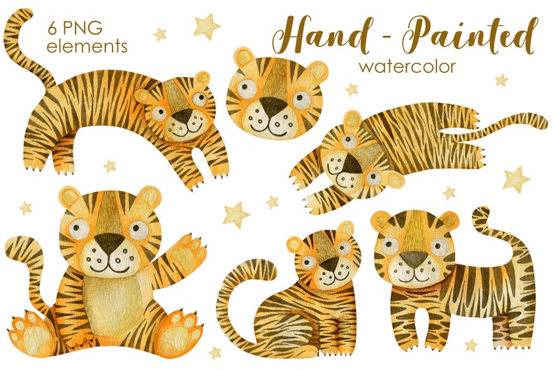 May include: Six watercolour illustrations of tigers in various poses. The tigers are hand-painted in shades of yellow and brown with black stripes. The text "Hand-Painted watercolour" is written above the tigers.