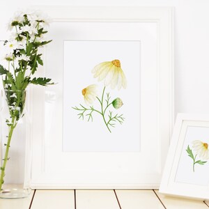 May include: Two white framed prints of watercolor paintings of white flowers with yellow centers. The larger print shows three flowers, while the smaller print shows one flower.