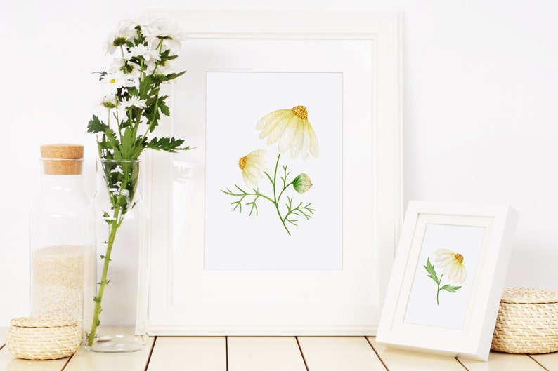 May include: Two white framed prints of watercolor paintings of white flowers with yellow centers. The larger print shows three flowers, while the smaller print shows one flower.