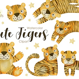 May include: Watercolour clipart of six cute tigers with orange and black stripes. The tigers are in various poses, including sitting, standing, and lying down. The background is white with yellow stars.