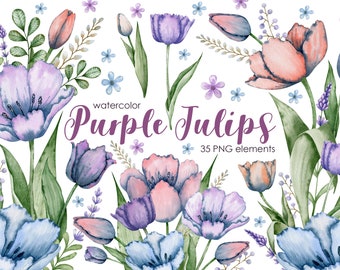 Watercolor Tulip Clipart: Hand-Painted Purple Flowers (PNG, 300 dpi)