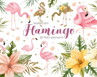 Clipart de flamenco en acuarela: PNG floral tropical (descarga digital)
