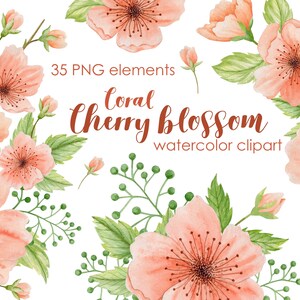 Watercolor Coral Cherry Blossom clipart, spring wedding clip art, sakura flowers nature, graphics invitation, floral bouquets, wreath PNG