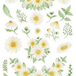 May include: A set of 20 watercolor illustrations of daisies and greenery. The illustrations are perfect for creating digital or printed designs, such as greeting cards, invitations, and scrapbook pages.