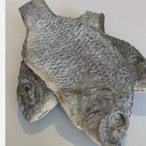 Large Kobi salted fish