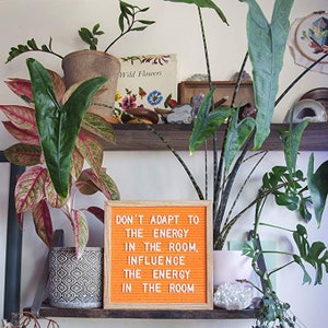 Orange Felt Letter Board Set – Handmade Oak Frame, 300 White Letters Bild 2