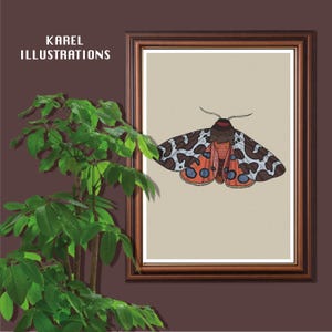 Pode incluir: Uma impressão artística emoldurada com a ilustração de uma mariposa com asas estampadas em castanho escuro, branco e laranja, exibida numa moldura de madeira escura. O texto KAREL ILLUSTRATIONS aparece no canto superior esquerdo.