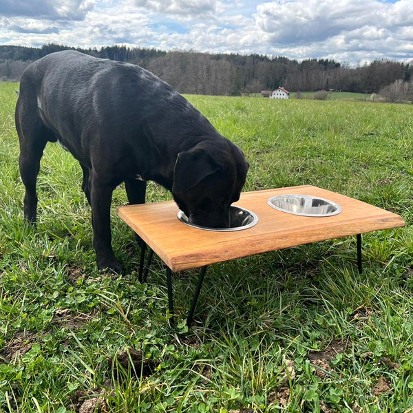 Handmade food bowl made of oak wood – the food bar with dog bowl for young and old in different sizes