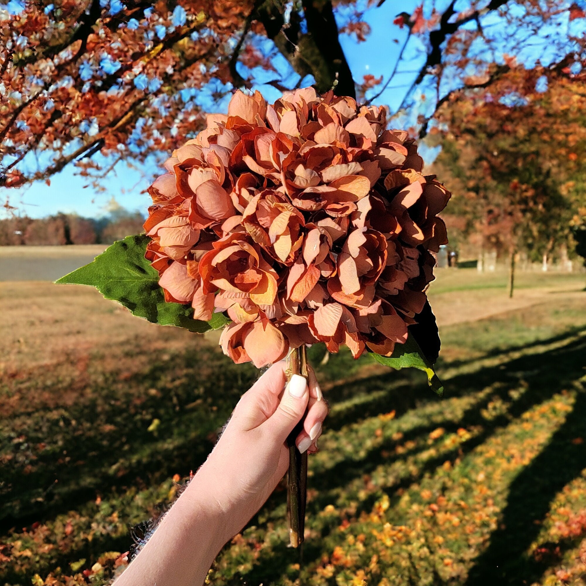 Rust Mix Hydrangea Bouquet