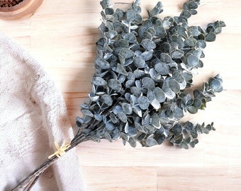 This Eucalyptus bundle of 3 stems is perfect for bridal, weddings, home decor, floral crafts, & DIY projects.