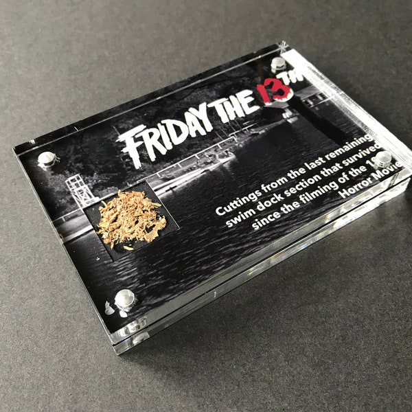 Friday 13th (1980) - Mini Movie Prop Display - Swim Dock Fragments w/COA