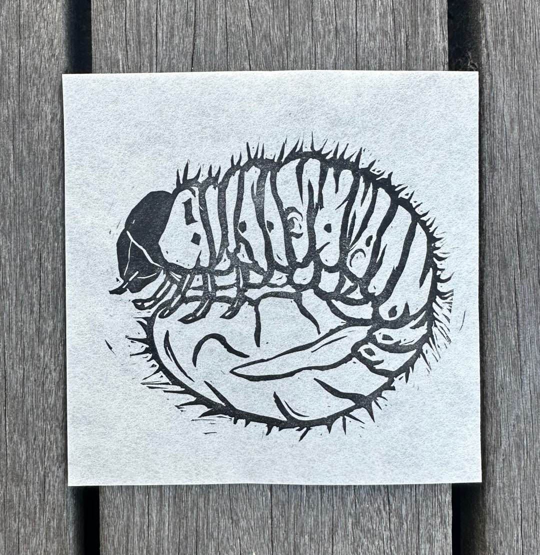 Grub Linocut Print, grub, Handmade Linocut Print - Etsy