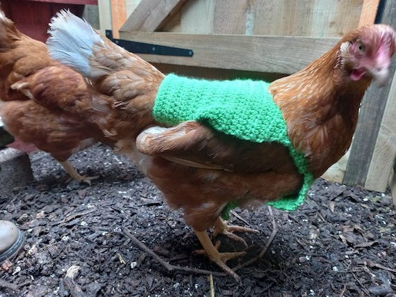 Crochet chicken deals sweater