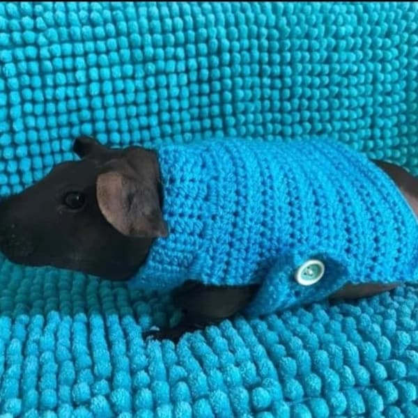 Plain Colour. Guinea/Skinny Pig Jumper. Please read the measurements in the description