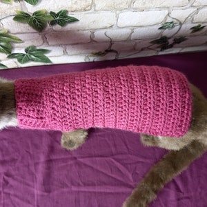 Small Size Ferret Jumper Please read the measurements in description