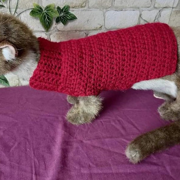 Extra Small Size Ferret Jumper Please read the measurements in description