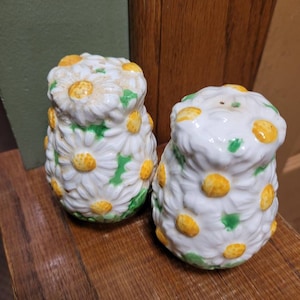 May include: A set of two white ceramic salt and pepper shakers with a daisy design. The shakers are decorated with white daisies with yellow centers and green leaves.