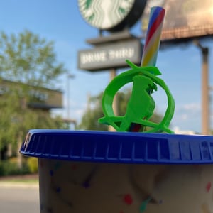 Walt Disney’s Enchanted Tiki Room inspired straw charm