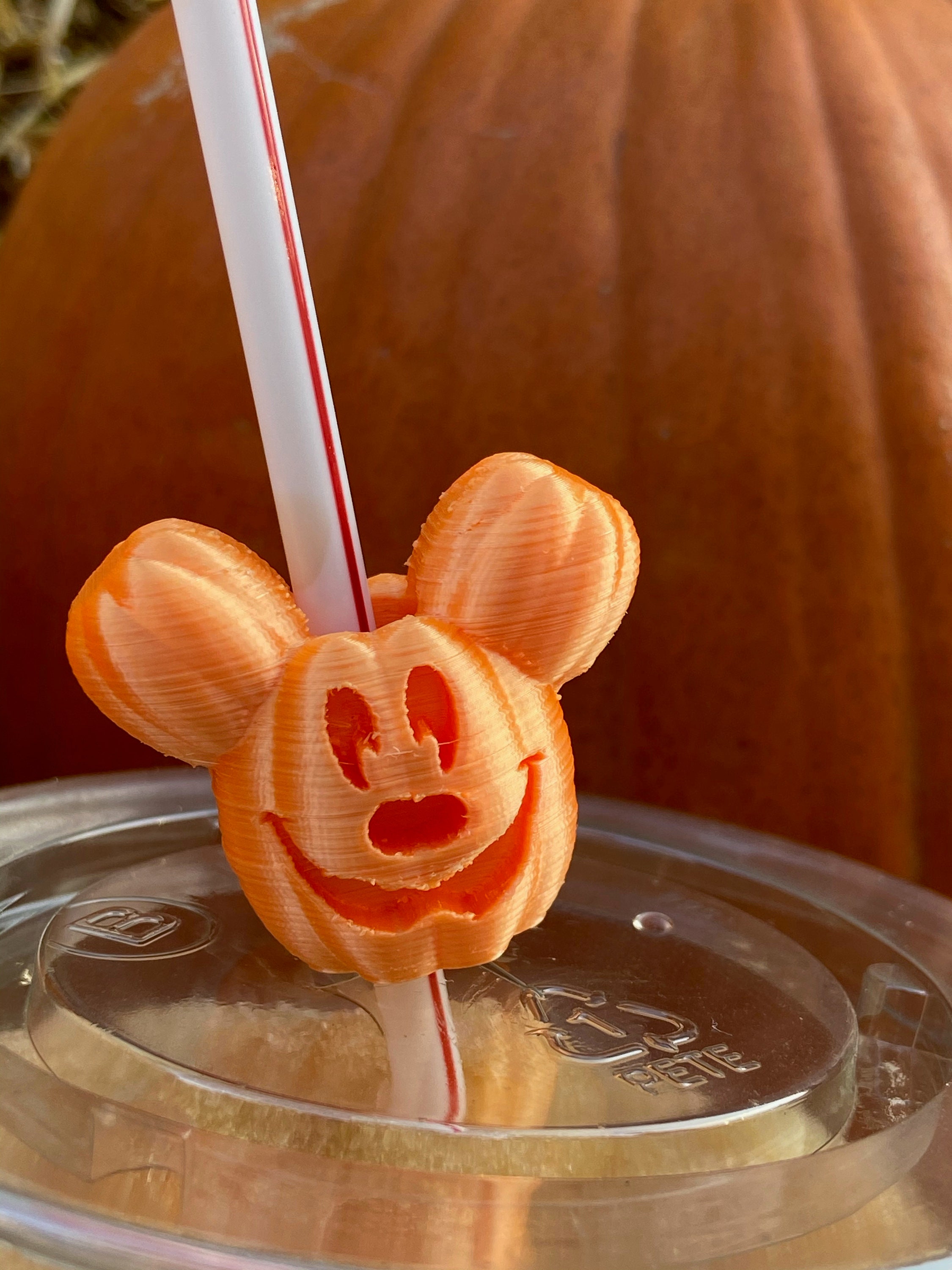 3D Mickey Mouse Pumpkin Straw Topper – Magical Day Creations