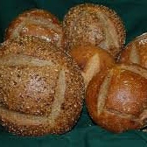 Black Death Sourdough Starter 400 Year-Old History ACTIVE SOUR new