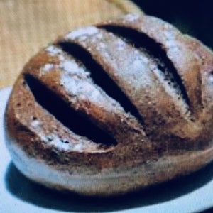Bavarian &quot;Black Death&quot; Sourdough Starter yeast 400 Year-Old History ACTIVE SOUR X