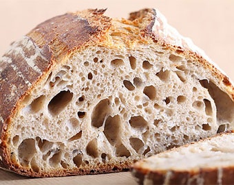 San Francisco SOURDOUGH STARTER 100yr old yeast, very strong, very sour extremely active sally @