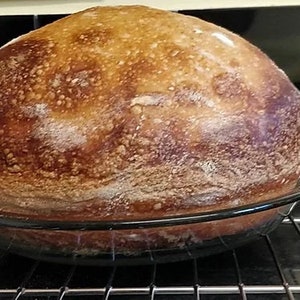 ALASKAN SOURDOUGH BREAD sTARTER yeast mix (A)