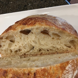 REAL San Francisco sourdough starter yeast over 150 years old  S.F.