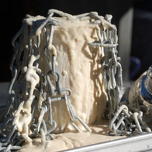 san francisco sourdough starter yeast in stock fast shipping THE BEAST