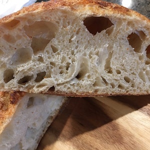 YEAST SAN FRANCISC0 S0URD0UGH STARTER &quot;sally&quot;  100+ years old