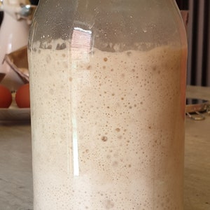 T0P SELLER!! 0RIGINAL-SAN FRANCISC0-S0UR D0UGH STARTeR- &quot;sally&quot;  many recipes @